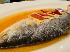 -老洋房花园饭店(绍兴路店)