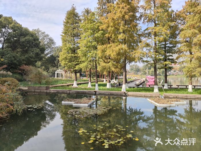 圩墩遗址公园图片