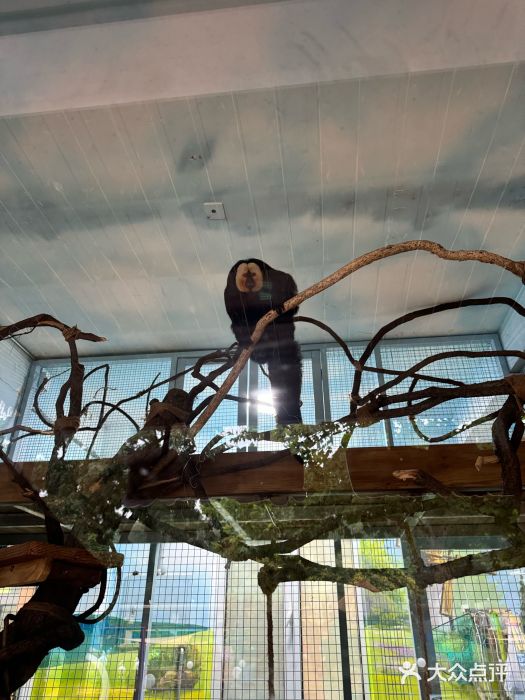 大连森林动物园图片