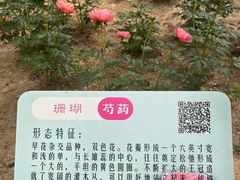 -仁和公园(顺义区)