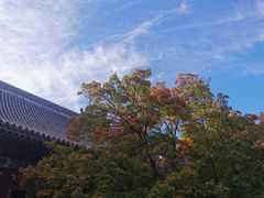 -香山公园
