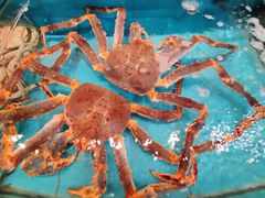 -尚海豆捞(乐虹坊店)