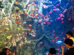 -杭州开元森泊度假乐园