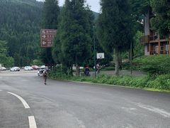 -武陵山森林公园