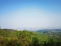 -紫金山山顶公园