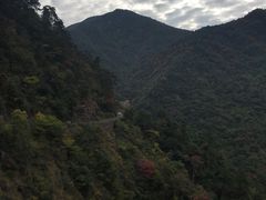 -东天目山风景区