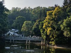 -深圳国际园林花卉博览园