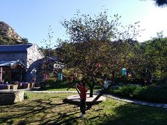 -云峰山自然风景区