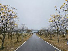 -露天矿生态公园