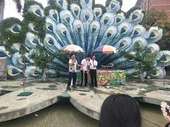 -灵玲国际马戏城