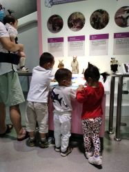 -北京科学中心儿童乐园