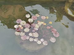 -洛阳市隋唐城遗址植物园