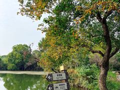 -西溪国家湿地公园