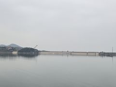 -望湖烤鱼