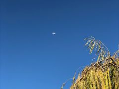 -洛龙公园