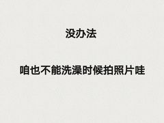 -金紫荆松骨休闲水会