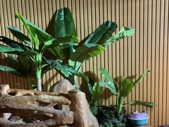 -沐熙汤泉(新安里店)