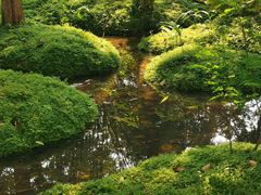 -成都市活水公园