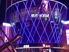 -鹏欣水游城