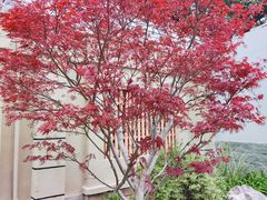 -场中路2401弄小区