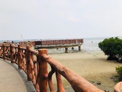 -霞山观海长廊