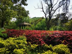 -白马涧龙池景区