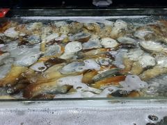 android_upload_pic-渔傅·蓝海岸霞浦海鲜(正祥店)