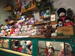 -济州岛泰迪熊博物馆