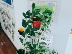 -自然之声助听器·呼吸机(和平店)