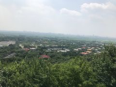 -上海佘山国家森林公园西佘山园