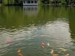 -桃花涧