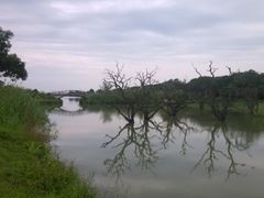 -鹤之洲湿地公园