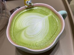 -逗柴咖啡屋·狗咖猫咖宠物桌游