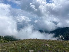 -白草畔自然风景区