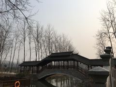 -合肥滨湖国家森林公园