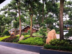 景观位-梧桐庄园