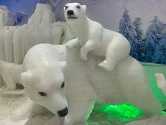 -宁波冰雪大世界(北仑区)