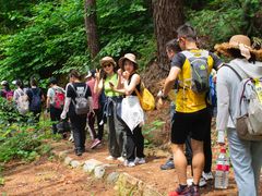 -素山寺森林公园