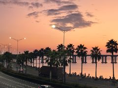 -宝安西湾红树林湿地公园