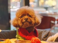 -Let'sBURGERplus·非常创意汉堡(三里屯店)