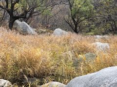 -黑龙潭风景区