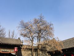 -张学良旧居陈列馆