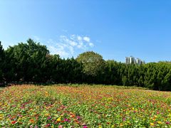 -南沙蒲洲花园