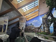 -延庆地质公园博物馆