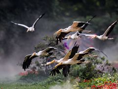 -Sony Store索尼(广州正佳店)