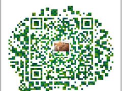 冯老二羊肉串-冯老二羊肉串