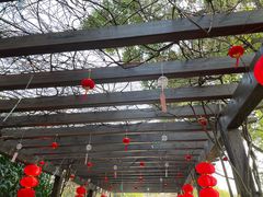 -白马涧龙池景区