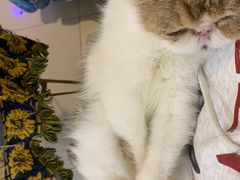 -平行世界·猫咖(首经贸店)