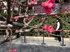 -新奥购物中心
