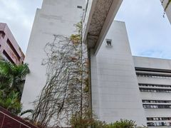 -香港大学